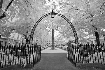 Arch, leading into tree covered square, London, England 