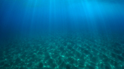 Fototapeta na wymiar Underwater blue ocean and sandy sea floor
