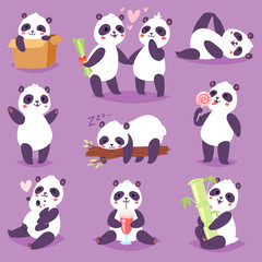 Panda vector bearcat or chinese bear with bamboo in love playing or sleeping illustration set of giant panda reading book or eating icecream isolated on background