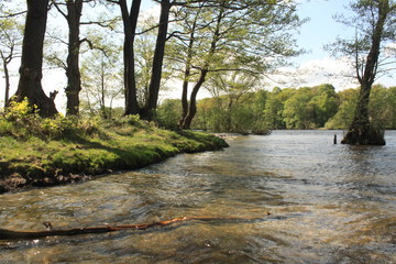 Berliner Havelufer an der Pfaueninsel