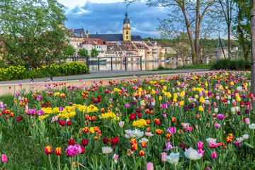 Blumenpracht am Main