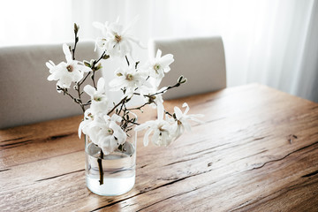White magnolia twigs freshly cut from magnolia tree. Glass vase standing on wooden table with white...