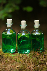 herbal tincture. three bottles with green herbal tincture  in the forest.  magic potion.Homeopathy and alternative medicine