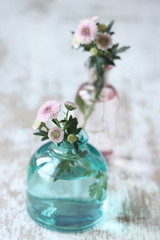 chrysanthemum flowers in vase
