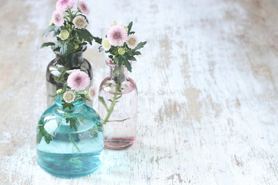 Chrysanthemum Flowers In Vase