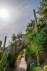 stone arch cactus in botanical garden sea horizon