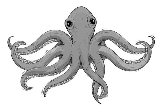 Octopus. Gray hand drawn sketch