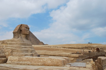 The Sphynx 2