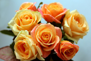 A bouquet of beautiful cream-colored roses