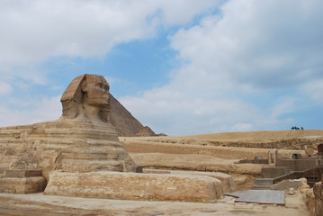 The Sphynx 1