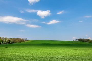 Spring landscape with green field, forests and blue sky