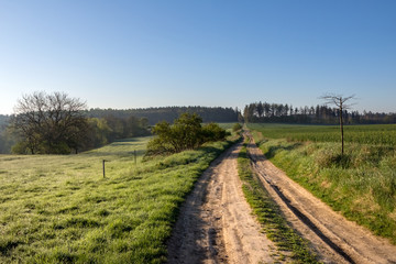 Fototapeta na wymiar Dirt road through morning spring landscape with green pastures