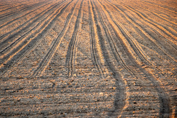 Detail of spring empty field with lines in morning light