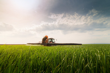 Tractor spraying pesticides on wheat field with sprayer at spring - obrazy, fototapety, plakaty