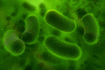 3d illustration close up of  microscopic  bacteria
