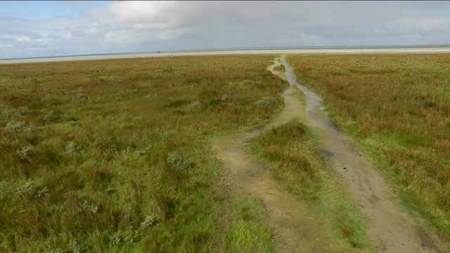 Drone footage of a beautiful beach in Holland