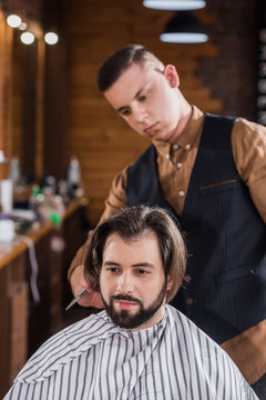bearded young man getting haircut from professional barber at barbershop