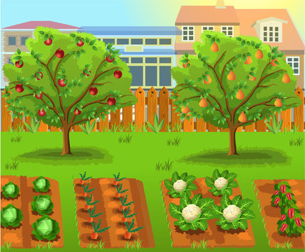cartoon garden with vegetables and fruit trees