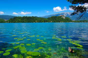 Lake Bled and mountains.