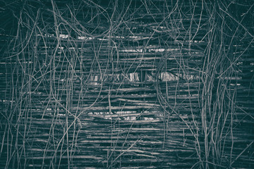 Rustic vintage background of wattle fence entwined with dry plants