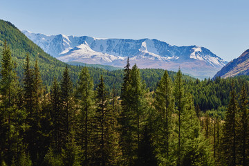 View of the snow-covered North-Chuya range in the Altai mountains, Siberia, Russia