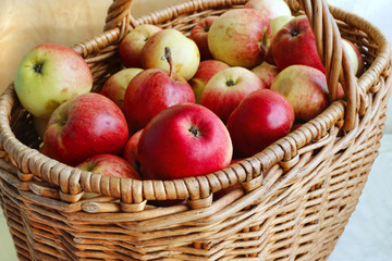 Close-up of bright ripe apples in a basket