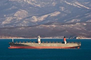 Container ship standing on the roads at anchor.