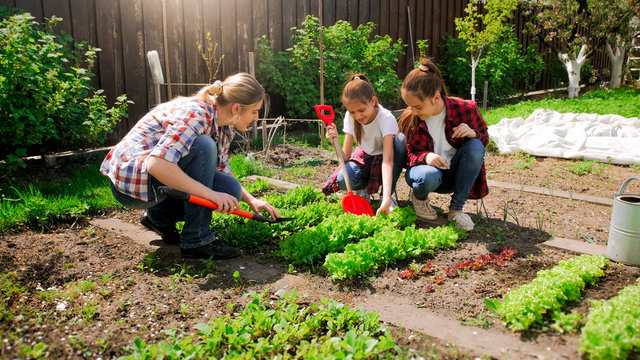 Photo of two teenage girls with mother working in backyard garden