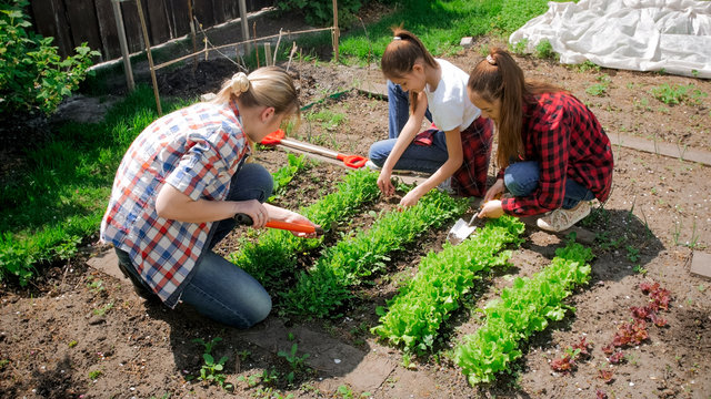 Young mother teaching her children how to plant vegetables at backyard garden
