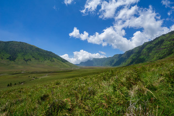 Savannah of Bromo, a green hilly area looks green throughout the year, people used to call it as Teletubbies Hill.