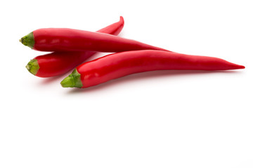 Red chilli pepper isolated on a white background.