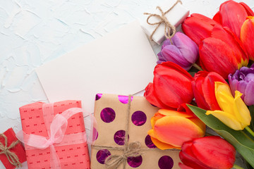 Multicolored tulips with gifts on a light background, top view, with empty space for writing or advertising