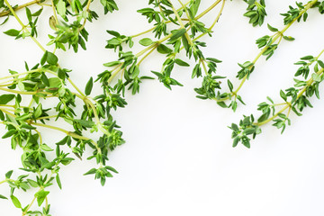 Obraz premium Close up shot with thyme leaves and twigs arranged on white background with text space. Selective focus