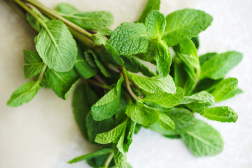 Close up of fresh mint leaves on white background. Selective focus