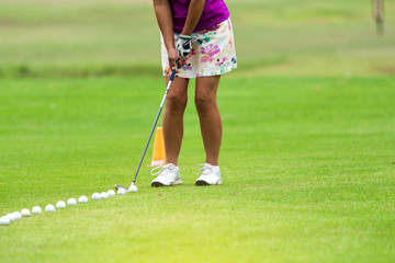Obraz premium Close up of woman golfer practice shot Golf ball on Green field golf course.
