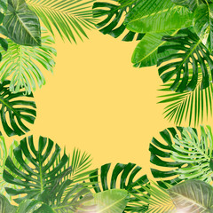 Fototapeta na wymiar Tropical green leaves