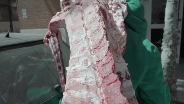 hombre cargando carne de ternera en el cami&oacute;n