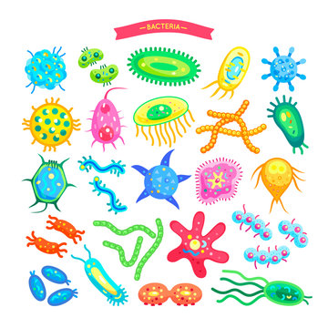 Bacteria Collection of Icons Vector Illustration