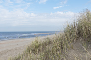 Sand dunes with grass at the beach and sea view