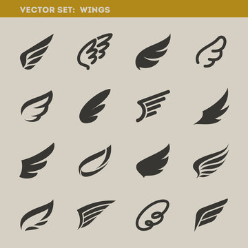 Wings. Set of design elements. Vector illustration