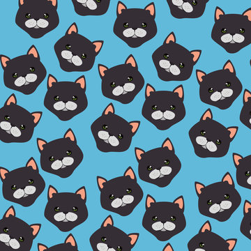 cute cats heads pattern characters vector illustration design