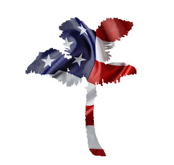 Designer Procurement, Palm, Textures, American Flag, Southern St