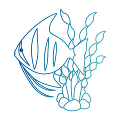 cute ornamental fish with seaweed vector illustration design