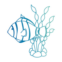 cute ornamental fish with seaweed vector illustration design