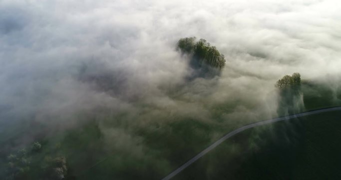Aerial Footage of Fog clouds pulling on a spring morning in Switzerland through some trees