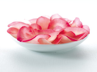 Pink rose petals in white ceramic bowl