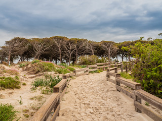 Sand beach near Alghero, Sardinia