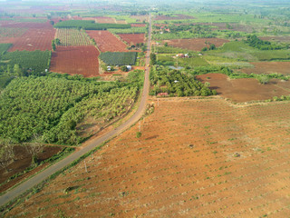Aerial drone view banana plantation Cambodia
