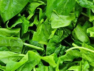 Fresh bright green spinach. Sliced spinach on a plate. Leaf of spinach.