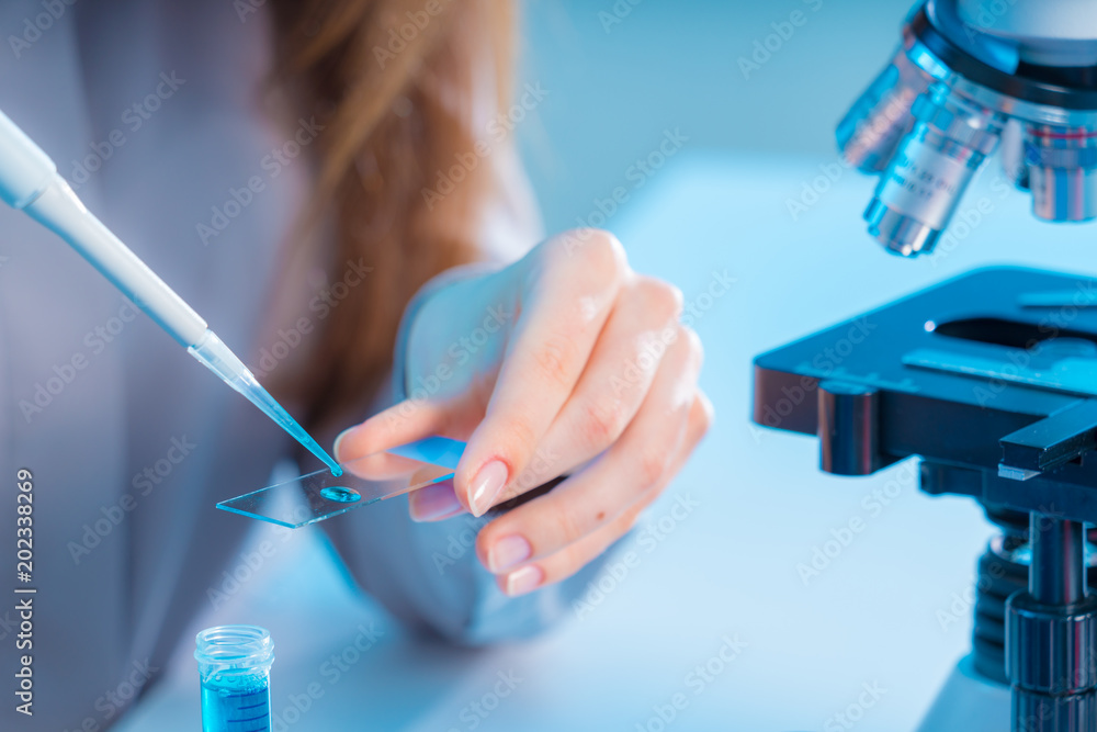 Sticker Blood sample on microscope slide. Researcher Analyzing Microscope Slide